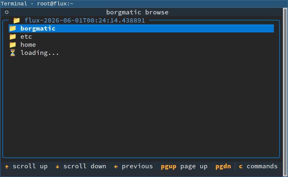 borgmatic browse screenshot